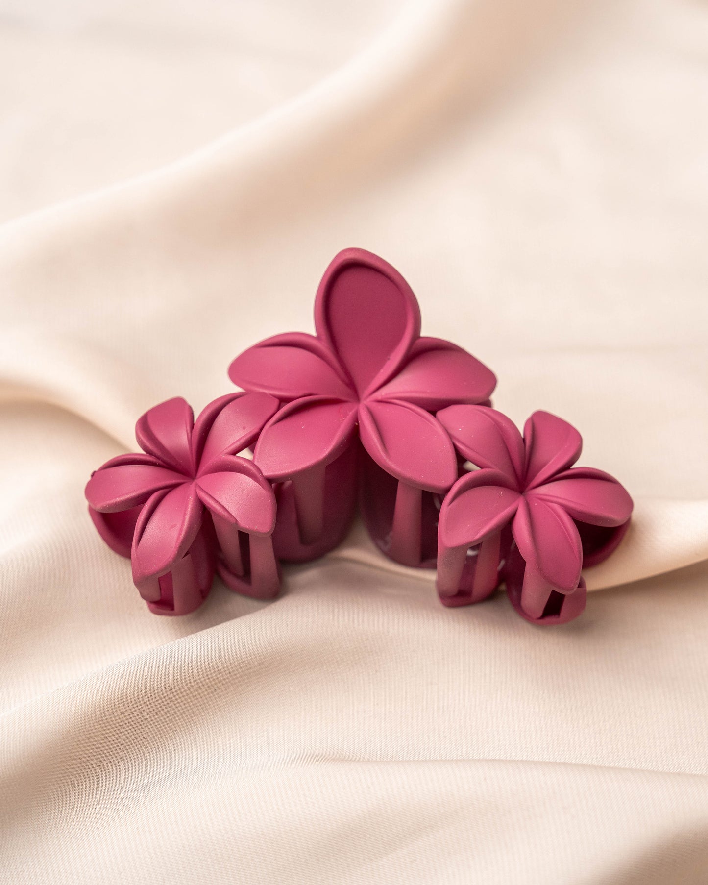 Claw Clips