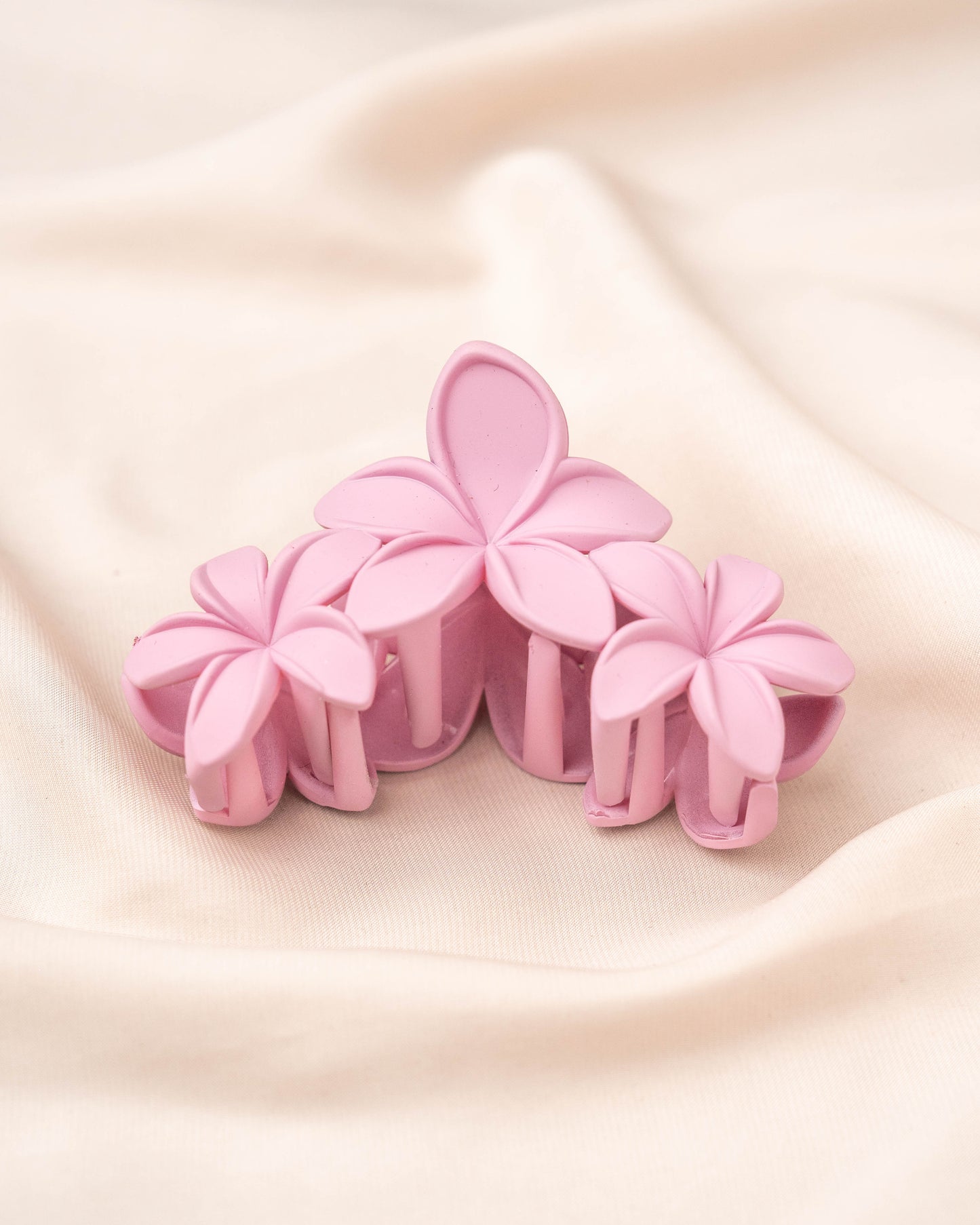 Claw Clips