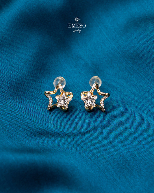 Earrings EER0016